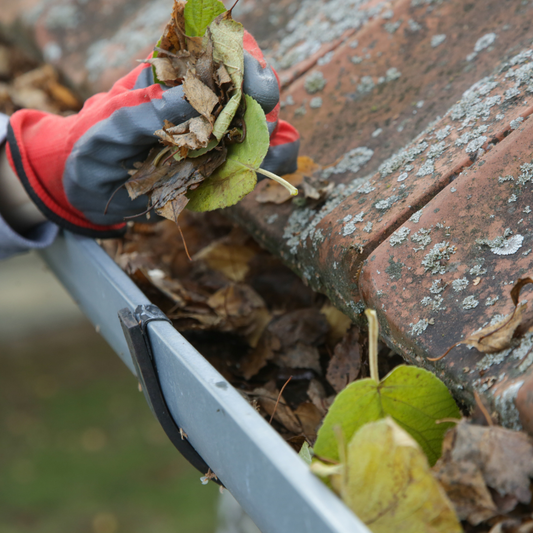 How to Prepare Your Gutters for Heavy Rainfall